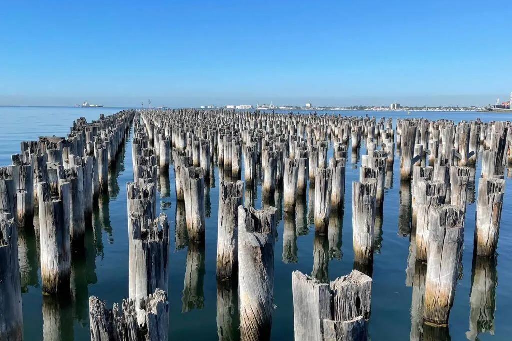 Image 5 of Amzing Ocean View Spacious Three Bedrooms Apartment Port Melbourne