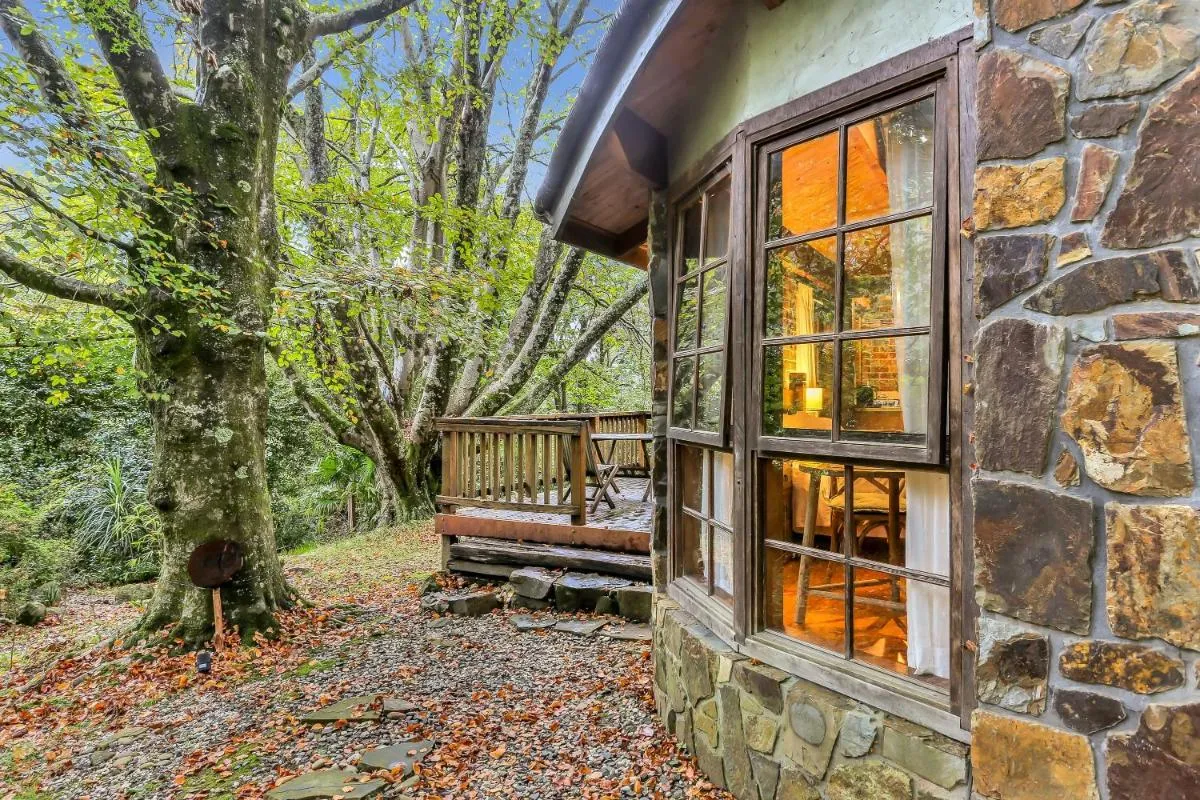 Image 6 of Beech Suite – Rocky Creek Art Garden