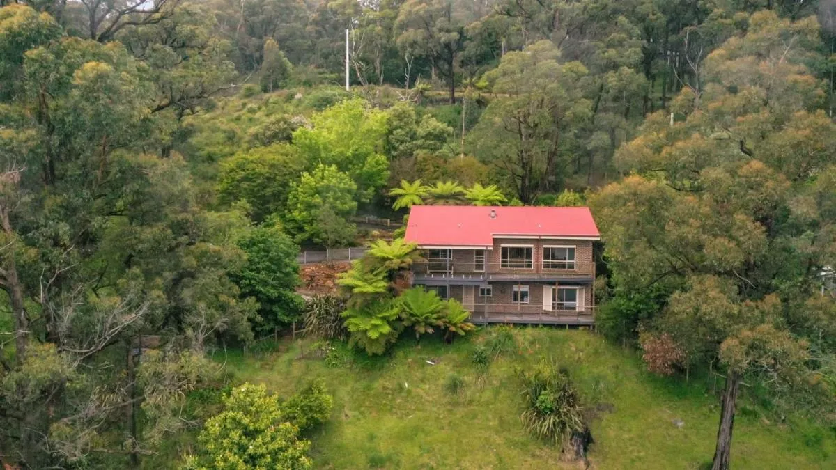 Image 1 of Embrace Nature’s Beauty in Ferny Creek