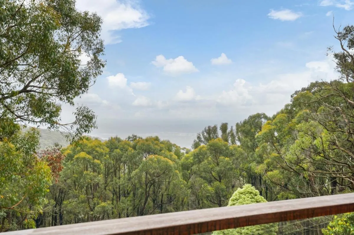Image 6 of Embrace Nature’s Beauty in Ferny Creek