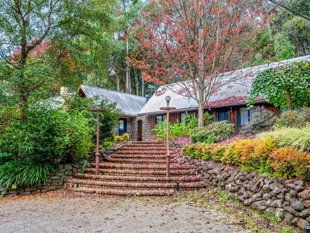 Image of Emerald Forest Garden