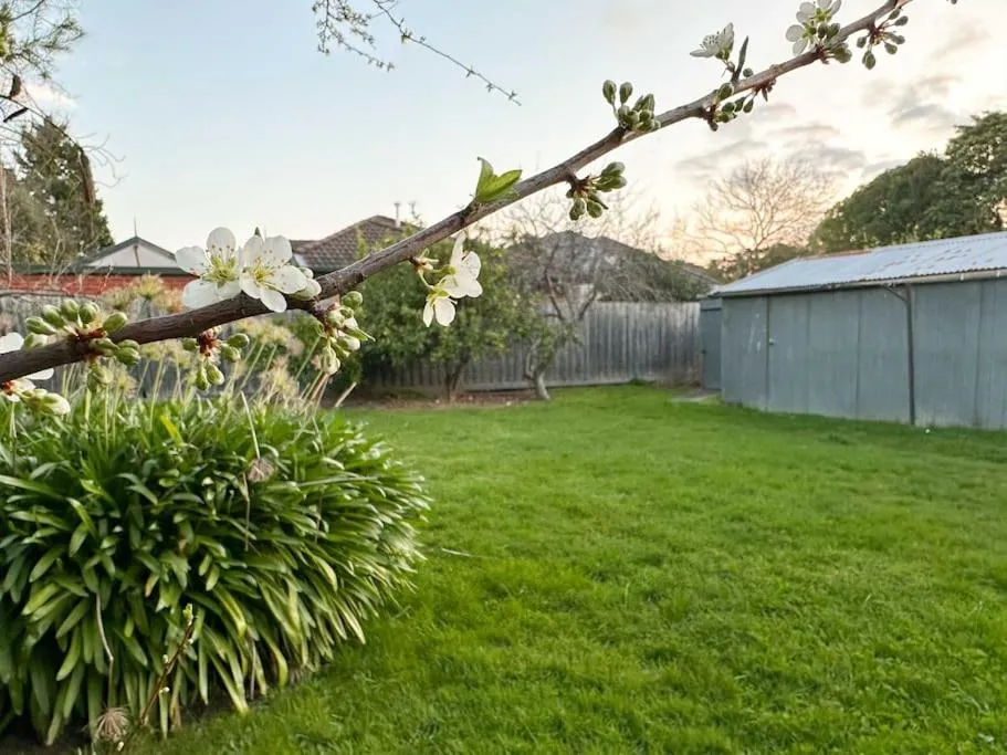 Image 5 of Large Peaceful 4 Bedroom Home