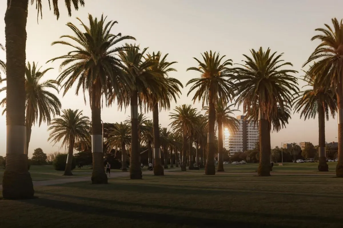 Image 2 of MAC St Kilda Blessington St by Melbourne Apartment Collection