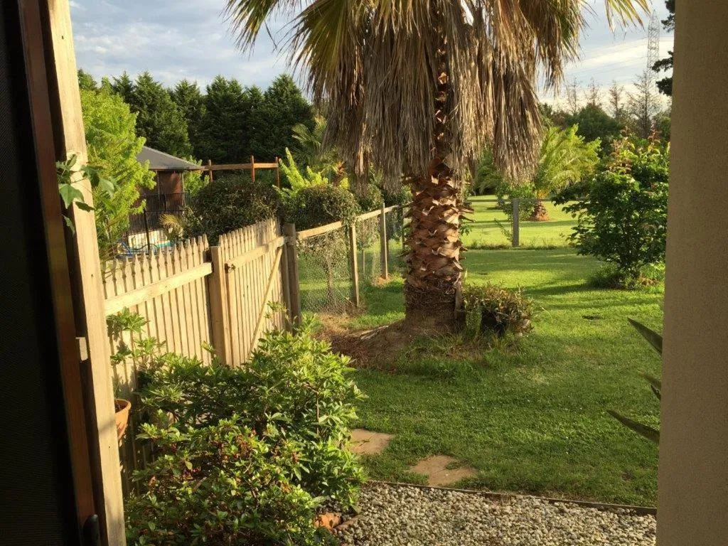Image 4 of Serenity