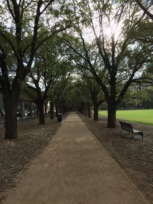 Image 4 of South Yarra Urban Haven