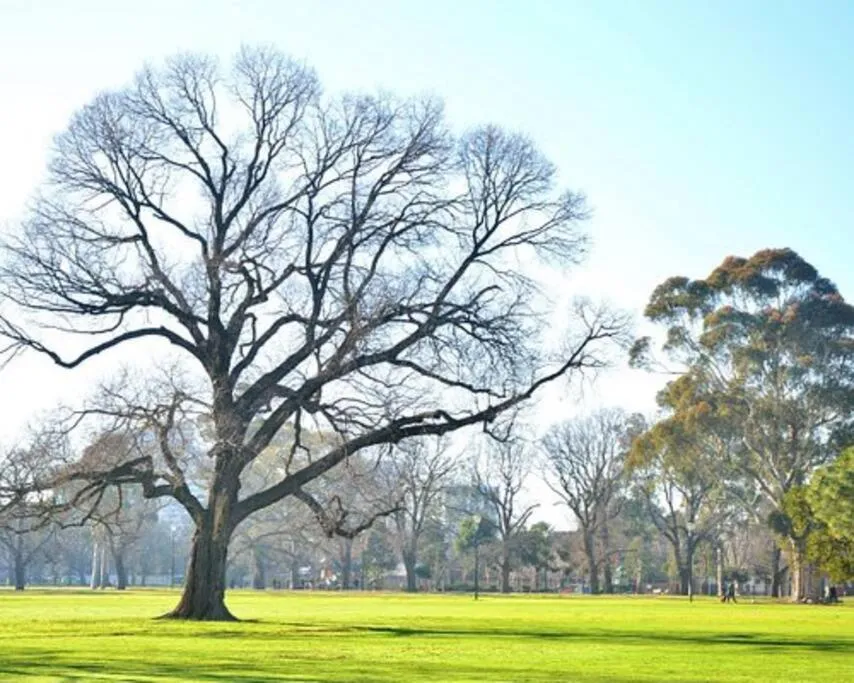 Image 3 of South Yarra Urban Haven