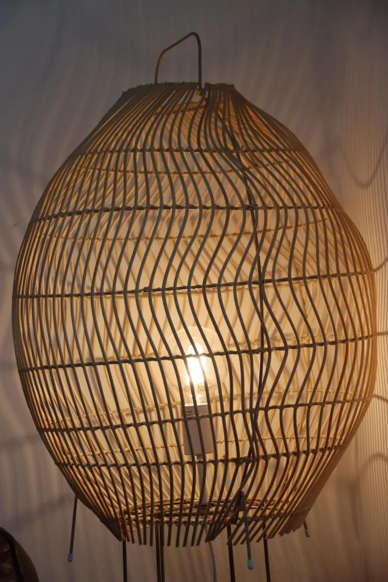 Image 6 of Timeless Allure near Ringwood