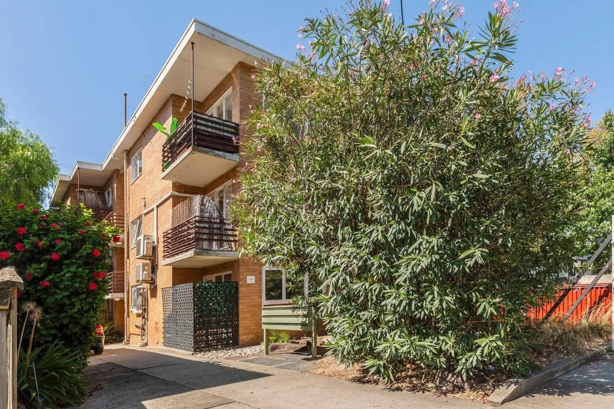 Image 5 of Auburn & Ivy – Scandi Charm off Burwood Road
