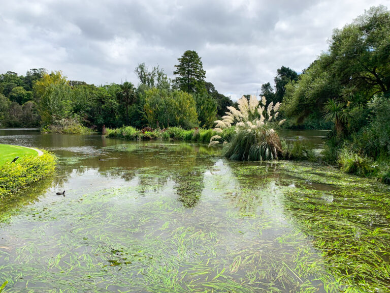 Royal Botanic Gardens
